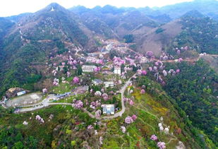 绵阳天气预报7天准确一览表查询结果-绵阳天气预报7天-第2张图片-雾华天气