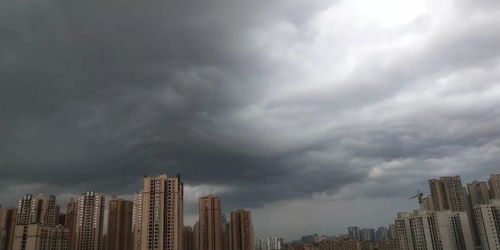 自贡天气预报15天-自贡天气预报15天查询百度-第2张图片-雾华天气