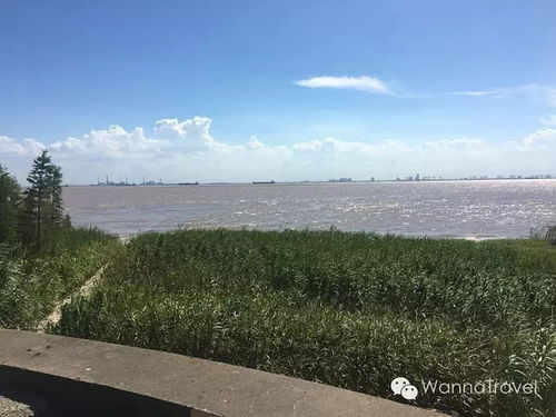 崇明天气预报一周天气情况-崇明天气预报一周-第1张图片-雾华天气