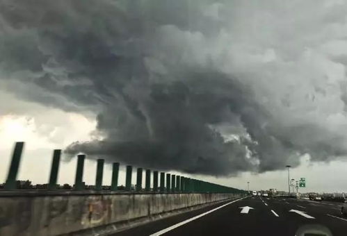 汶上天气预报一周-汶上天气预报一周7天查询-第1张图片-雾华天气