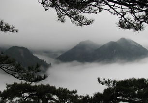 黄山风景区天气预报15天查询百度-黄山风景区天气预报15天查询-第1张图片-雾华天气