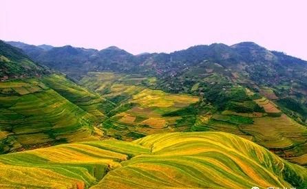 富宁天气预报15天-富宁天气预报15天天气-第2张图片-雾华天气