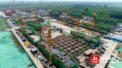 涿州限号2023年3月最新限号查询-涿州限号2023年3月最新限号-第3张图片-雾华天气