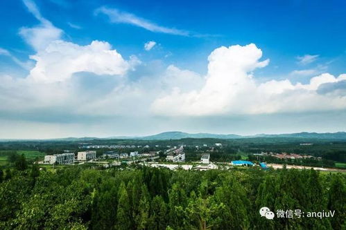 安丘天气预报15天查询-安丘天气预报15天查询百度百科-第1张图片-雾华天气