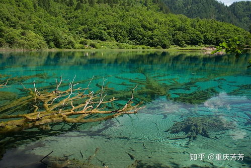黄龙天气预报查询15天-黄龙天气预报15天景区-第2张图片-雾华天气