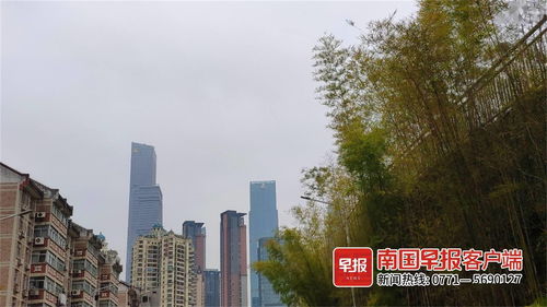 南宁未来30天天气预报查询-南宁未来30天天气预报-第3张图片-雾华天气