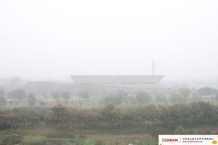 栾川天气预报15天-栾川天气预报15天查询-第2张图片-雾华天气