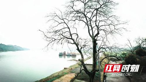 明天冷水滩天气预报-冷水滩天气预报-第2张图片-雾华天气