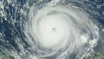 南川天气预报15天准确天气查询表格下载-南川天气预报15天准确-第1张图片-雾华天气