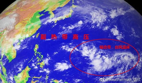 南川天气预报15天准确天气查询表格下载-南川天气预报15天准确-第3张图片-雾华天气
