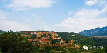 山东莱芜天气预报15天查询下载-山东莱芜天气预报-第2张图片-雾华天气