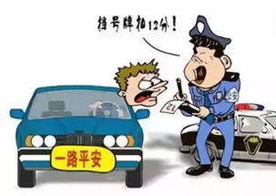 限号出行-限号出行一天罚几次-第1张图片-雾华天气