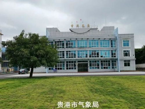 来宾天气预报30天查询结果-来宾天气预报40天-第1张图片-雾华天气