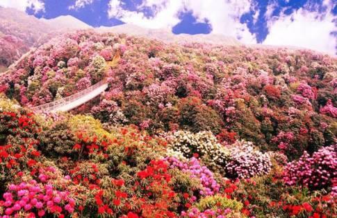 毕节大方天气预报15天准确-毕节大方天气预报15天-第2张图片-雾华天气