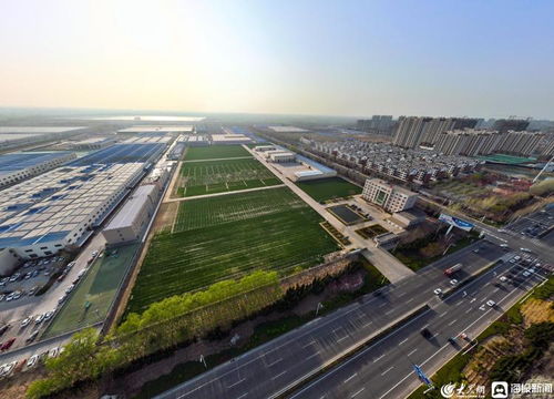 宁津天气预报一周-宁津天气预报一周15天-第1张图片-雾华天气