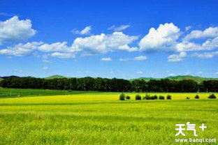 沽源县天气预报-沽源县天气预报沽源县长梁乡天气预报-第1张图片-雾华天气