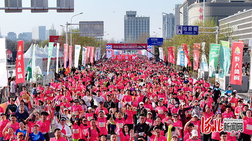 石家庄马拉松2021赛事报名-石家庄马拉松2023比赛时间-第3张图片-雾华天气