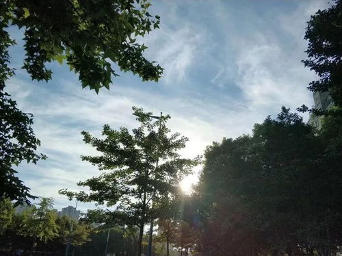 东阳天气预报40天天气预报-东阳天气预报40天-第3张图片-雾华天气
