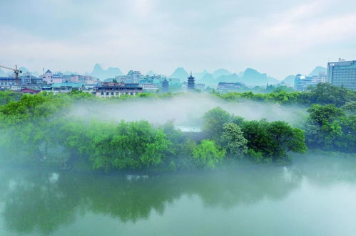 桂林天气预报一周天气-桂林天气预报一周天气预报查询-第1张图片-雾华天气