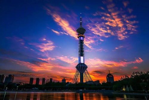 石家庄今天限行几号-2024石家庄限号查询-第1张图片-雾华天气