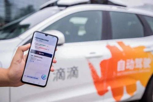 自己做个代驾平台怎么样-自己做代驾用哪个软件呢-第1张图片-雾华天气