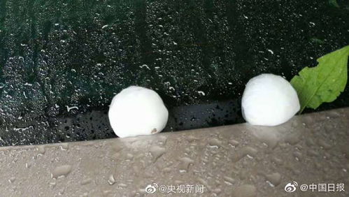 黔南天气预报15天查询结果-黔南天气预报-第1张图片-雾华天气
