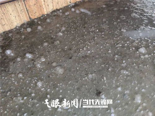 黔南天气预报15天查询结果-黔南天气预报-第2张图片-雾华天气