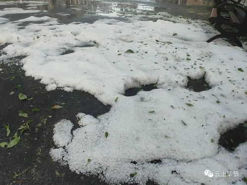 黔南天气预报15天查询结果-黔南天气预报-第3张图片-雾华天气