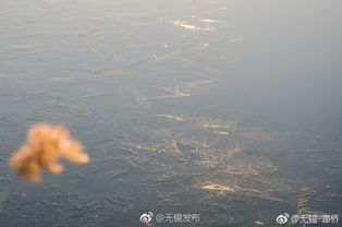 太湖天气预报-苏州太湖天气预报-第1张图片-雾华天气