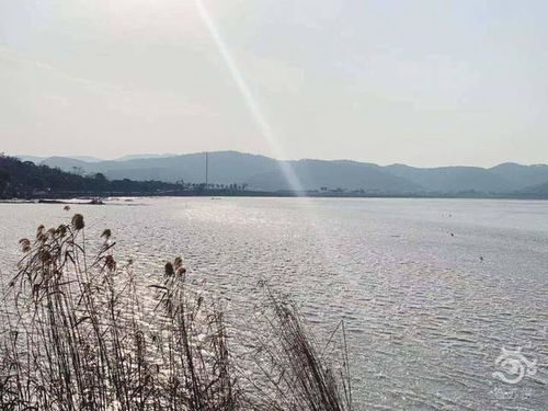 太湖天气预报-苏州太湖天气预报-第3张图片-雾华天气