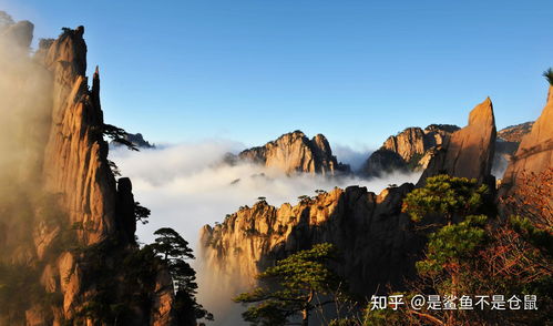黄山天气预报30天准确 一个月气温-黄山天气预报30天准确-第2张图片-雾华天气