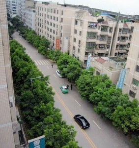 咸阳限号区域地图-咸阳限号区域地图最新-第1张图片-雾华天气