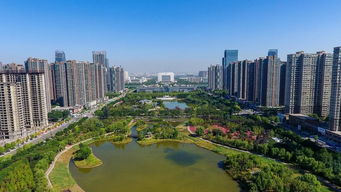 洛阳天气预报一周天气查询-洛阳天气预报一周天气-第2张图片-雾华天气