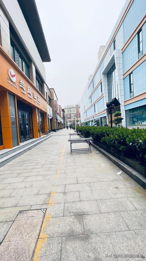 河南平顶山天气预报一周-河南平顶山 天气-第2张图片-雾华天气