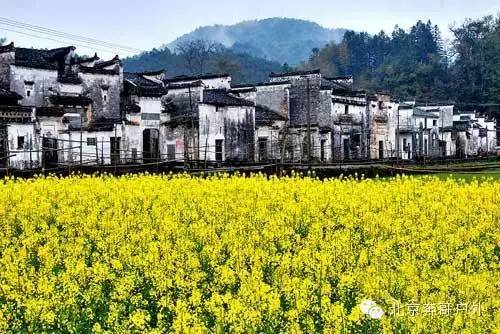 江西婺源天气预报15天查询风景区-江西婺源天气预报15天查询-第1张图片-雾华天气