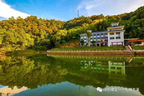 梅州大埔天气预报-梅州大埔天气预报最新-第3张图片-雾华天气