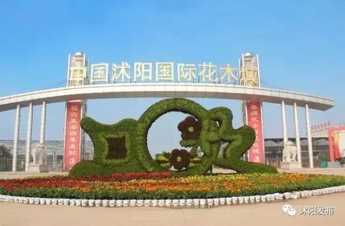 江苏沭阳天气预报15天查询百度百科-江苏沭阳天气预报-第2张图片-雾华天气