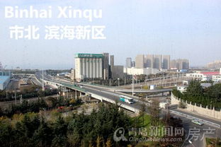 滨海新区天气预报一周-滨海新区天气预报一周7天查询-第2张图片-雾华天气