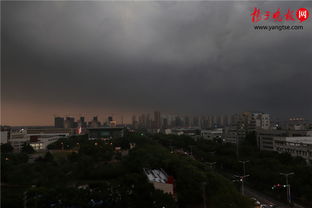 南京近三天天气预报15天-南京近三天天气预报-第3张图片-雾华天气