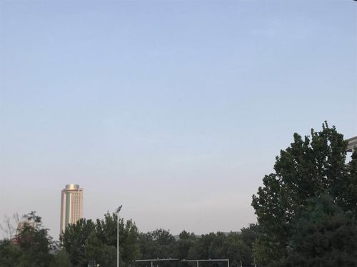 聊城天气预报30天查询一个月-聊城天气预报30天查询-第1张图片-雾华天气