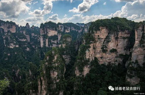 张家界15天天气预报查询2345-张家界15天天气-第1张图片-雾华天气