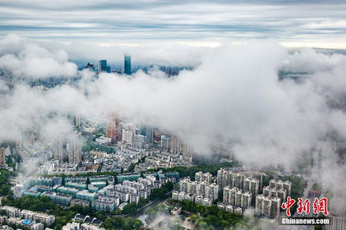 南京未来60天天气预报-南京未来60天天气预报情况 精准查询-第3张图片-雾华天气