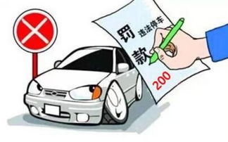 外地车牌不小心进入限行区域上海怎么办-外地车牌不小心进入限行区域-第2张图片-雾华天气