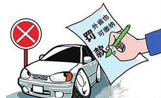 外地车牌不小心进入限行区域上海怎么办-外地车牌不小心进入限行区域-第3张图片-雾华天气