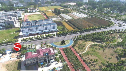 九台天气预报十五天-九台天气预报十五天查询-第3张图片-雾华天气