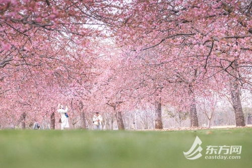 河津天气情况-河津天气预报30天查询-第3张图片-雾华天气