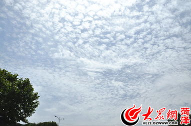 菏泽天气预报一周7天实时查询-菏泽天气预报一周7天-第2张图片-雾华天气