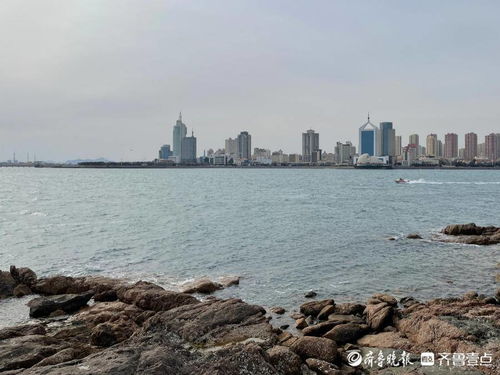 青岛一周天气预报10天-青岛一周天气预报15天查询系统-第1张图片-雾华天气