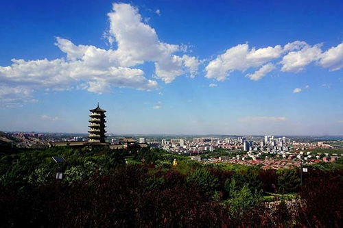 邯郸今天限号查询最新-邯郸今天限号查询-第1张图片-雾华天气