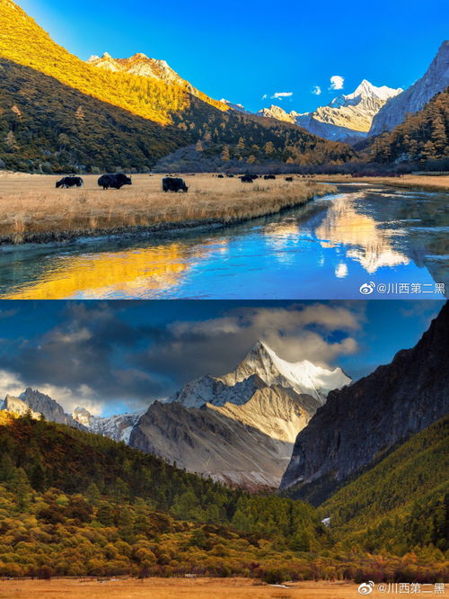 稻城天气预报7天-稻城天气预报15天气-第2张图片-雾华天气